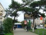 Древесная арка Древесная арка