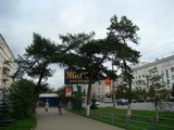 Древесная арка Древесная арка