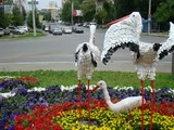 Аист, принесший ребенка в собственную семью Аист, принесший ребенка в собственную семью