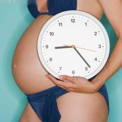 Определяем дату родов Рассчитать дату родов