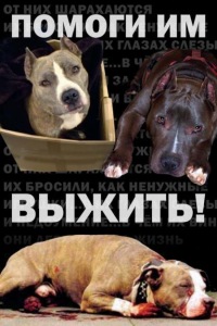 Аватар пользователя СтаффКоманда