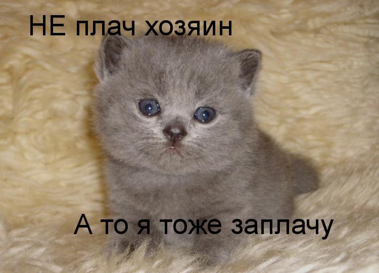 Аватар пользователя Аксинья Челябинская