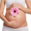 Беременность – «Пошаговая Инструкция» - Что, Куда, Когда? Постановка на учёт по беременности 
