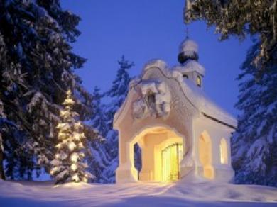 Новый Год 2014 Синяя Лошадь